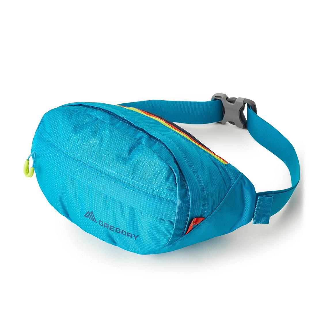 Gregory Nano Waistpack Men Blue Ireland 5614QWTFO